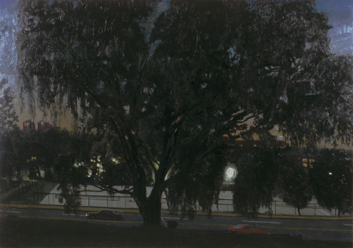 Tree in Mellon Park, 1996, oil on canvas, 55 x 77 in., collection: Meyer, Unkovic & Scott